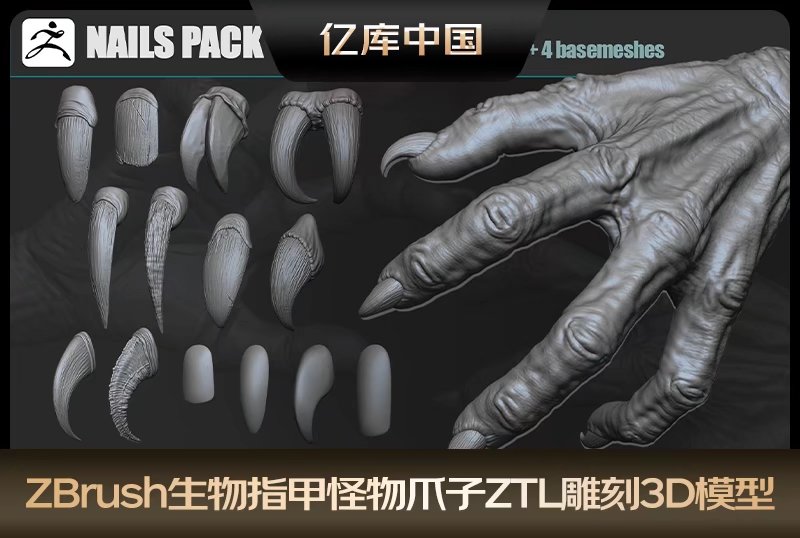 ZBrush生物指甲怪物爪子ZTL雕刻模型zb动物指甲利爪雕刻3D模型