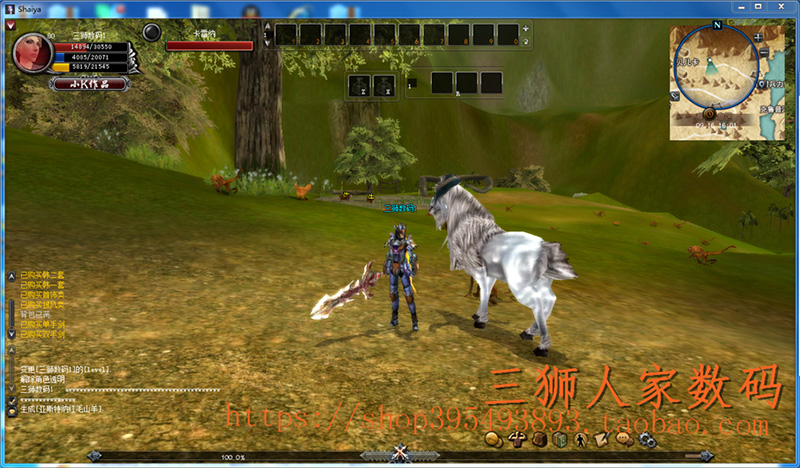 图片[13]-神泣13.0精修单机版商城可用稀有完整一键服务端GM工具-网游单机社区-火种限定分类-火种游戏