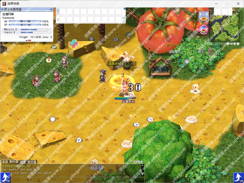 图片[4]-仙境传说4转单机汉化修复版商店出售卡片点数兑换增加负重-网游单机社区-火种限定分类-火种游戏