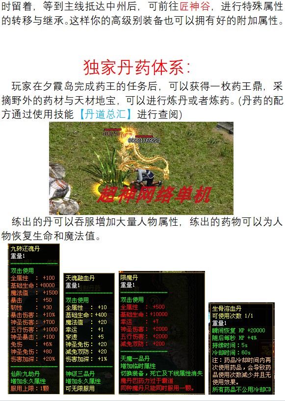 图片[10]-传奇世界单机版界域传说RGP剧情符文拾取鉴定特色智能假人PK-网游单机社区-火种限定分类-火种游戏